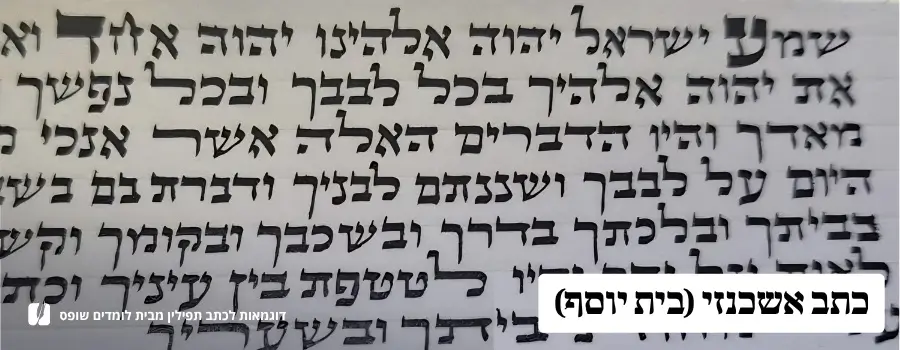 דוגמת כתב פרשיות תפילין בית יוסף