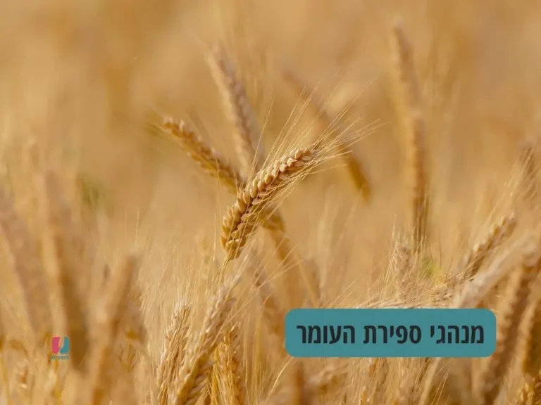 מנהגי ספירת העומר