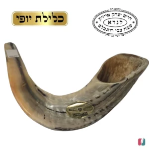 שופר מס 6 הרב לנדא