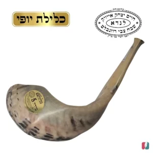 שופר מס 5 לנדא