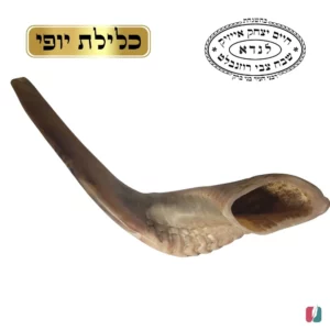שופר מס 7 לנדא