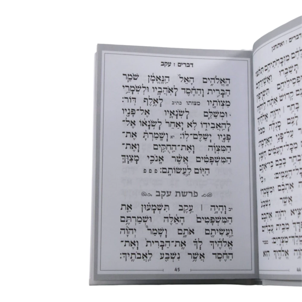 ספר דברים בסגנון כותל סקאי – תמונה 3