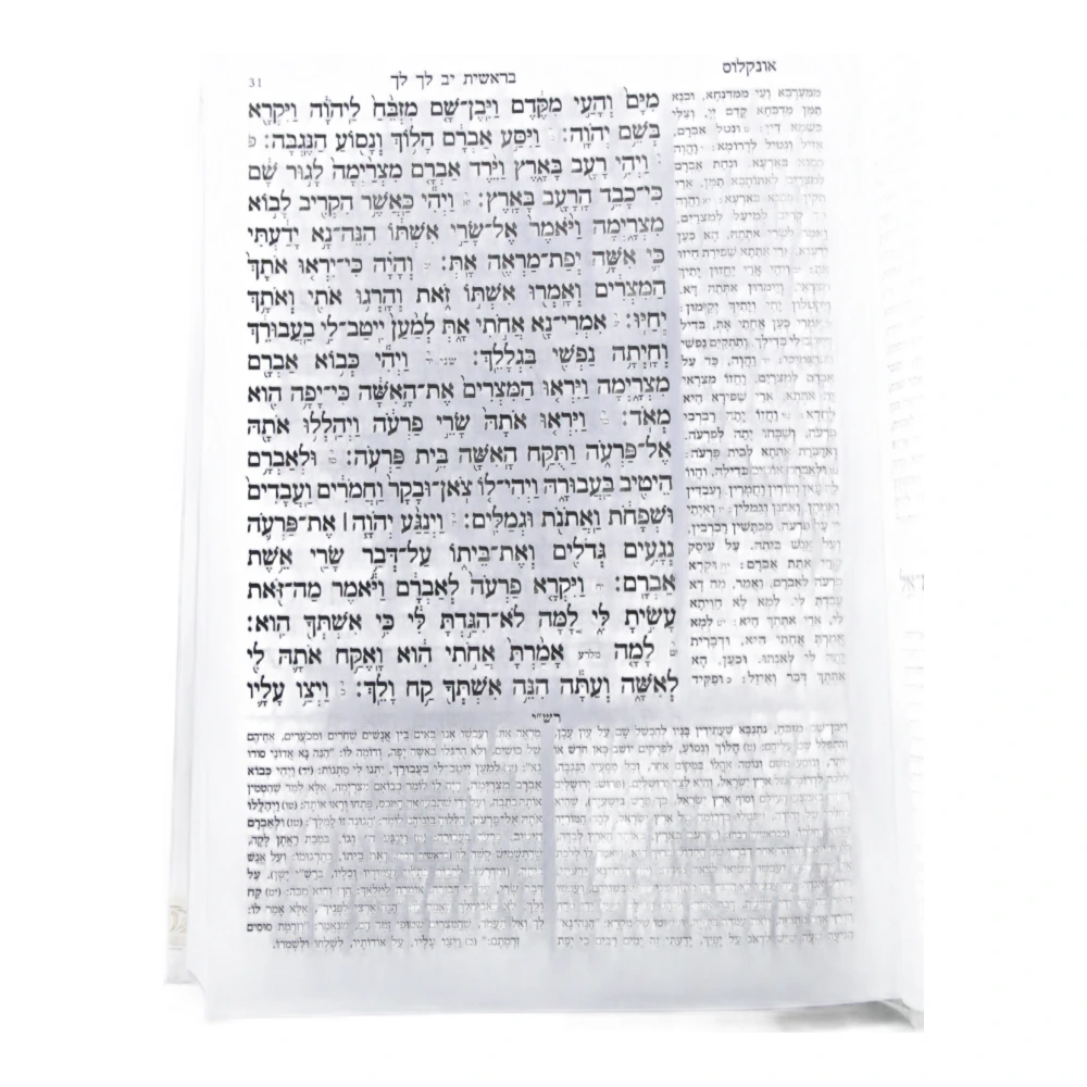 חמישה חומשי תורה עבודה שבלב למינציה כרך אחד – תמונה 2