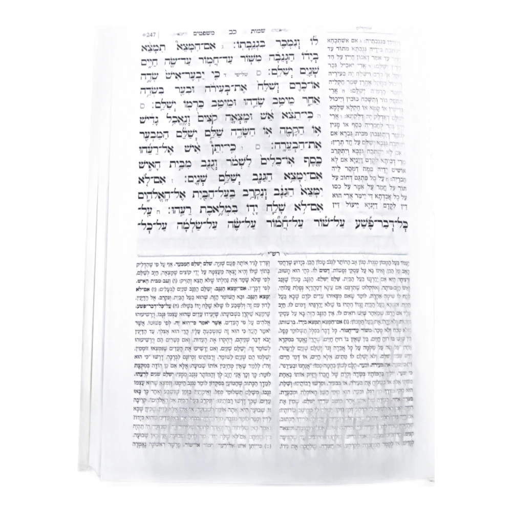 חמישה חומשי תורה בינת הלב כרך אחד – תמונה 3