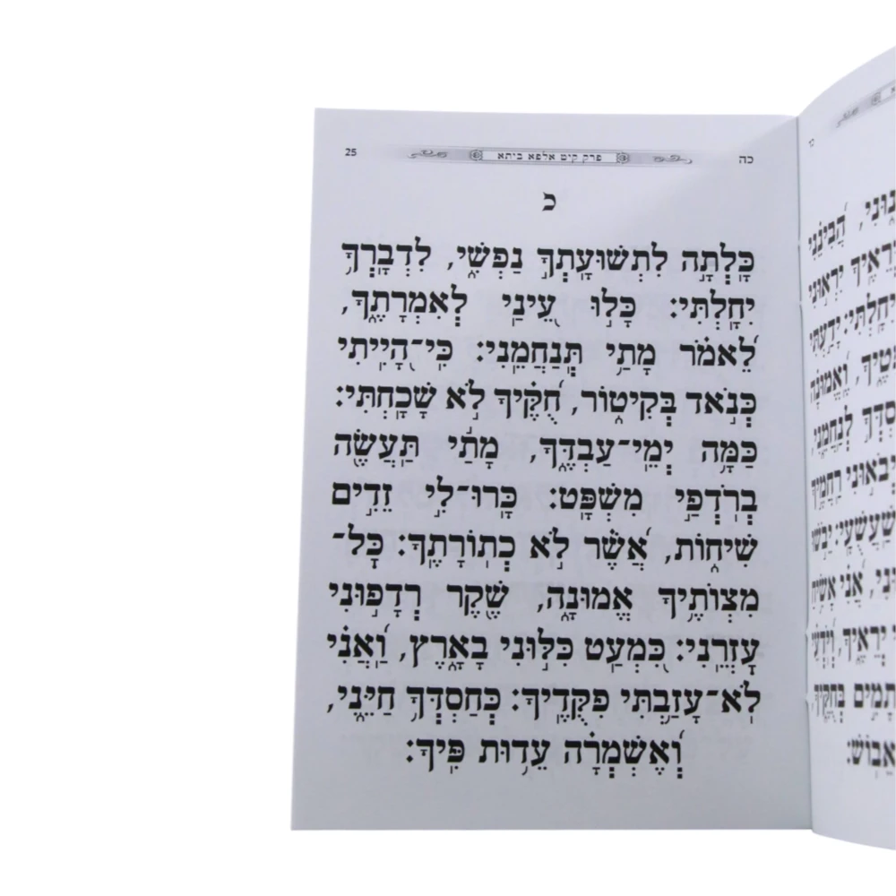 עילוי נשמות דגם אהבת השם – תמונה 3