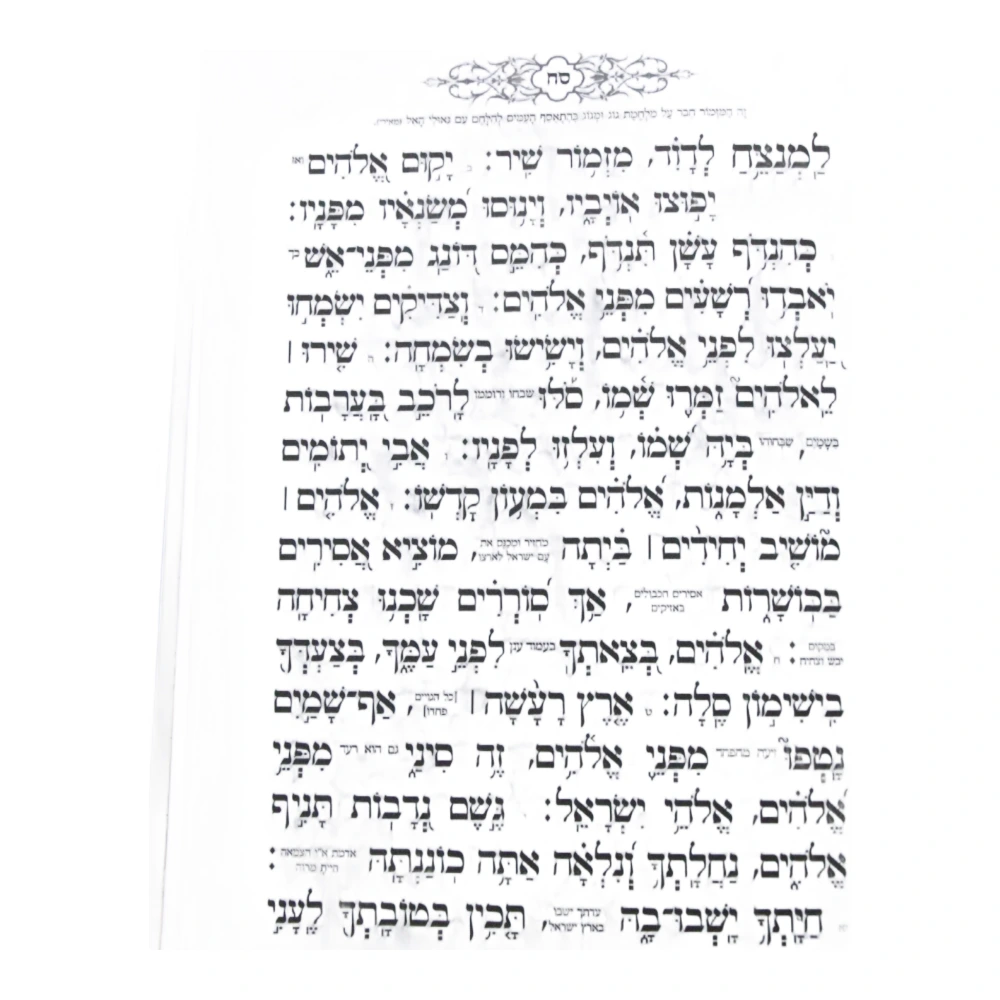 קריאי מועד השלם בעיצוב כוונת הלב – תמונה 3