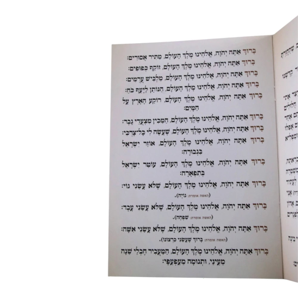 ברכות השחר וקריאת שמע דגם עלים גדול – תמונה 2