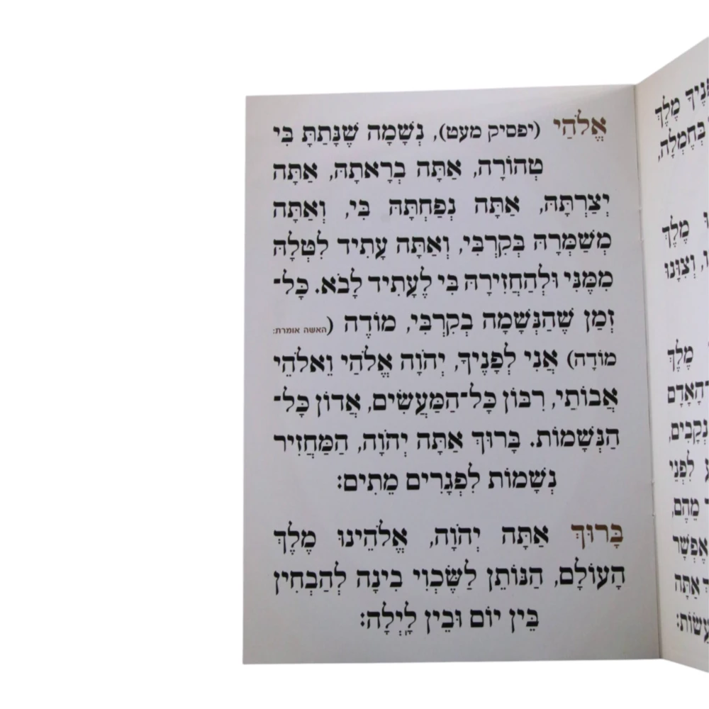ברכות השחר דגם שער גדול – תמונה 2