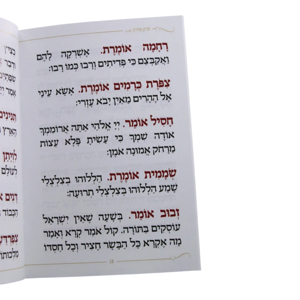 פרק שירה דגם ציפורים – תמונה 2
