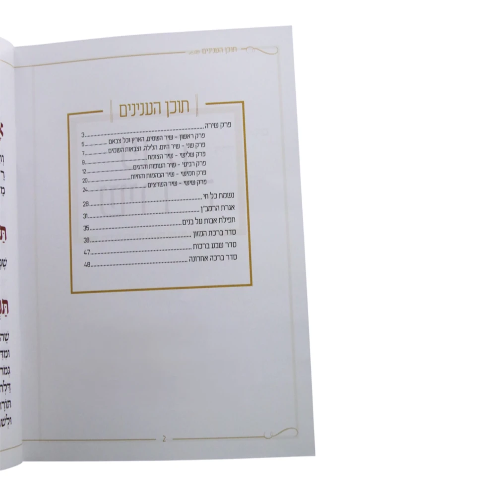פרק שירה דגם ציפורים – תמונה 3