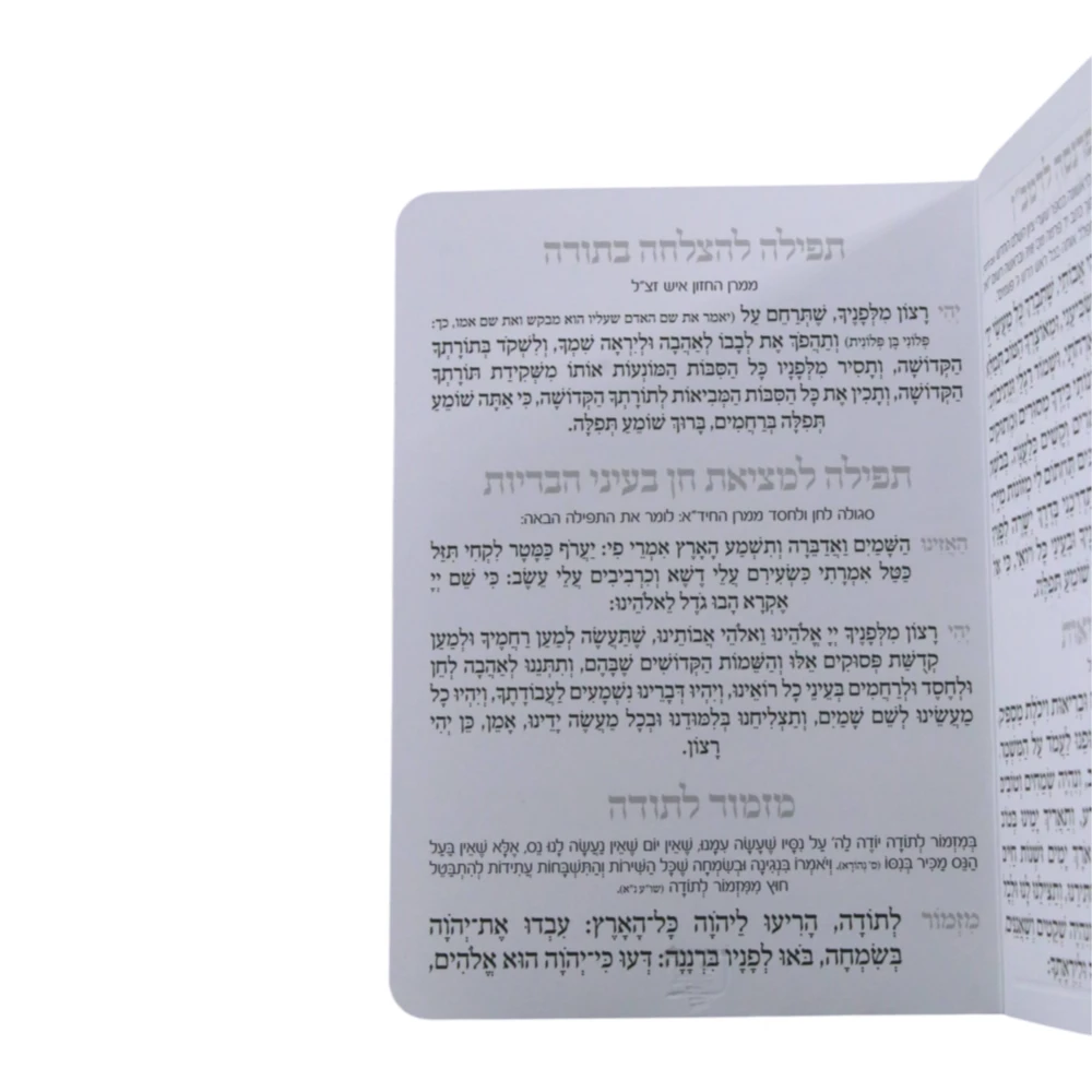 תפילות דגם מטבע – תמונה 2
