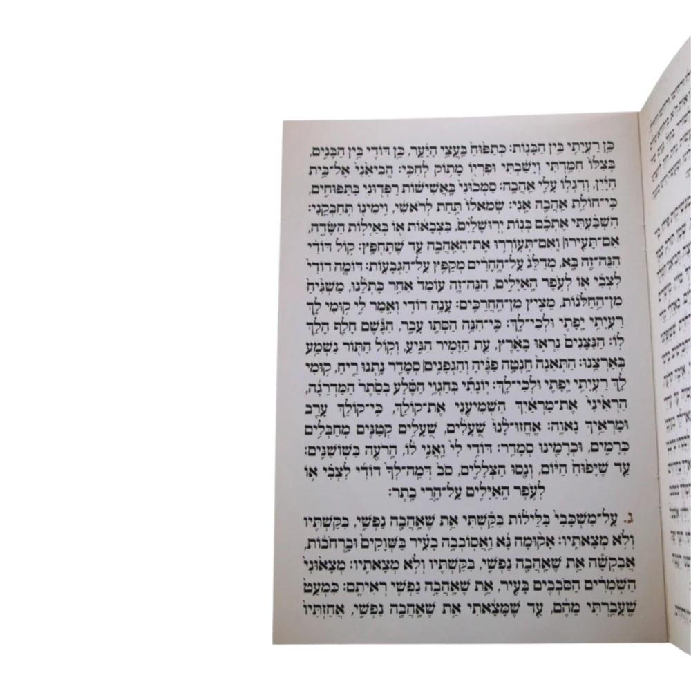 שיר השירים דגם פינות – תמונה 2