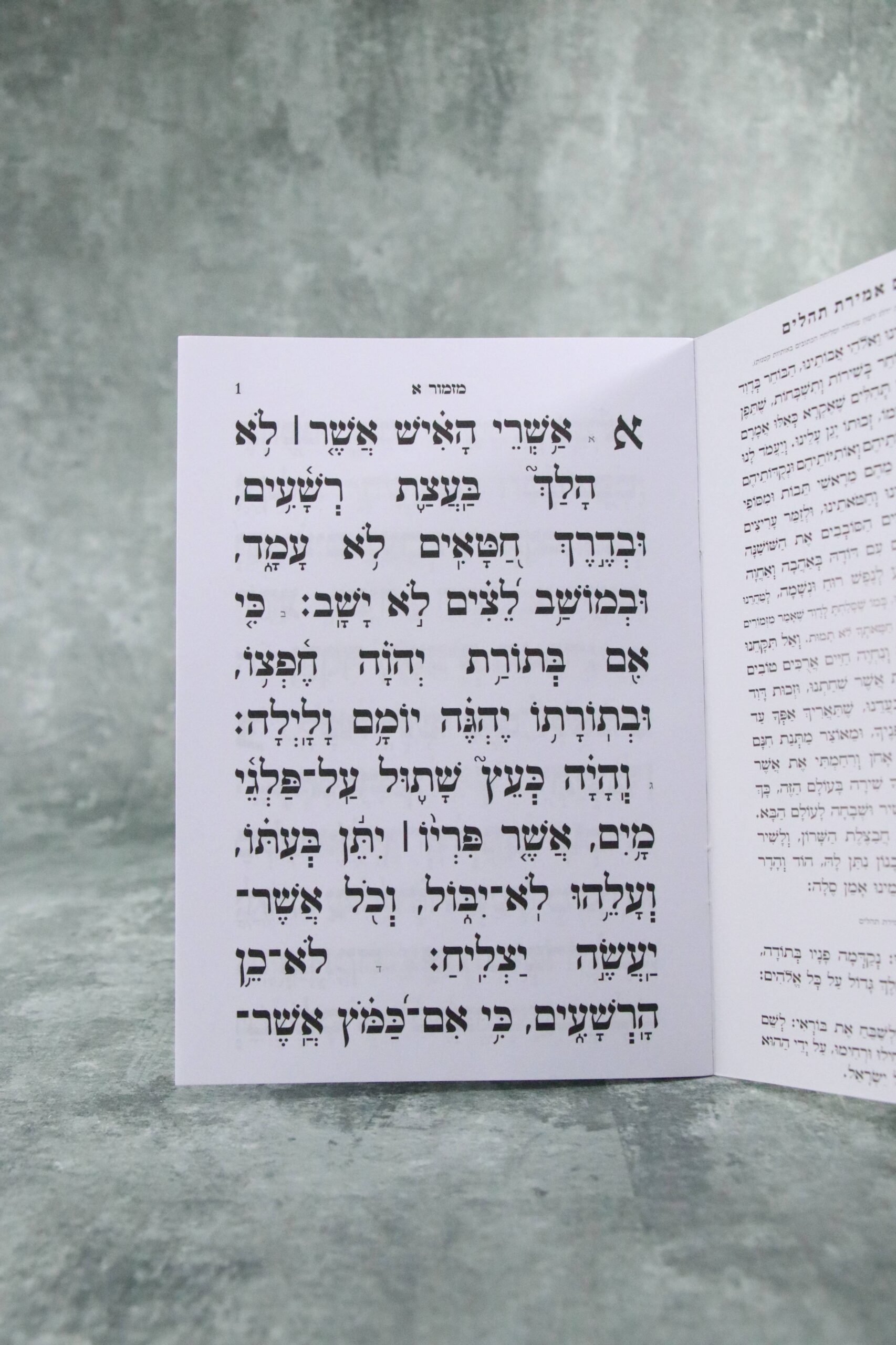 ספר תהילים מחולק אהבת השם דגם נבל – תמונה 3