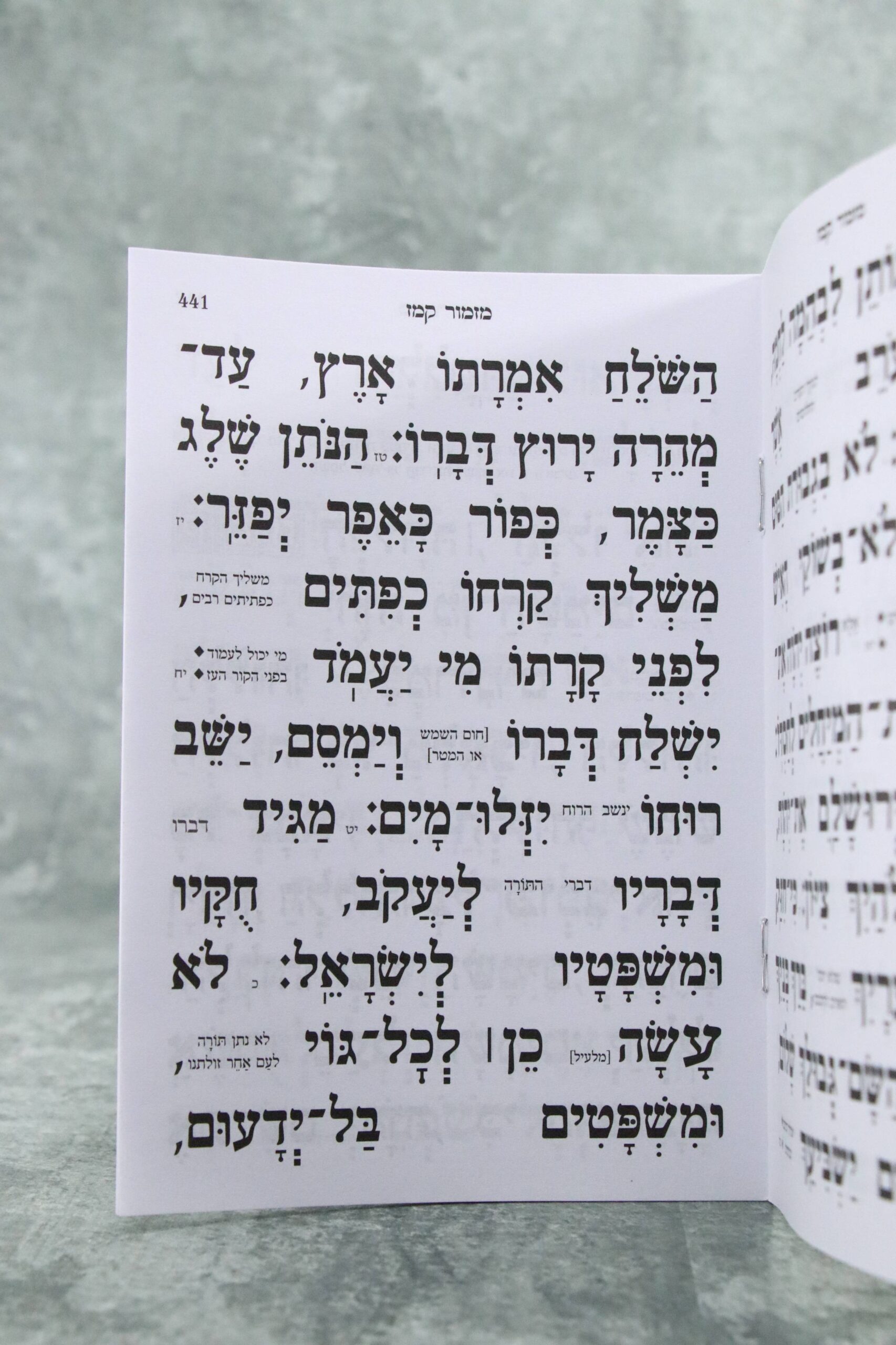 ספר תהילים מחולק בעיצוב כוונת הלב נבל – תמונה 3
