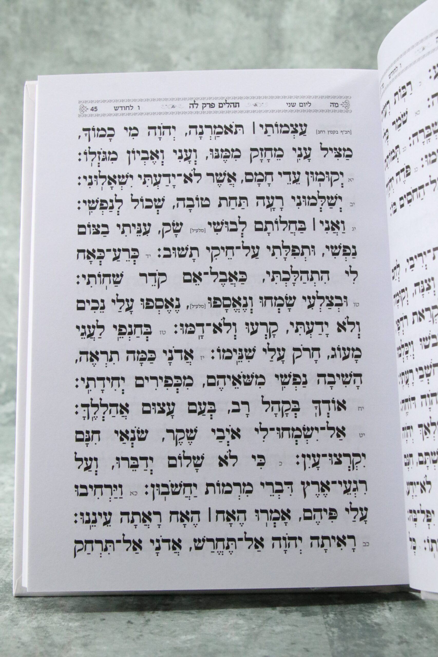 ספר תהילים דגם שער – תמונה 3