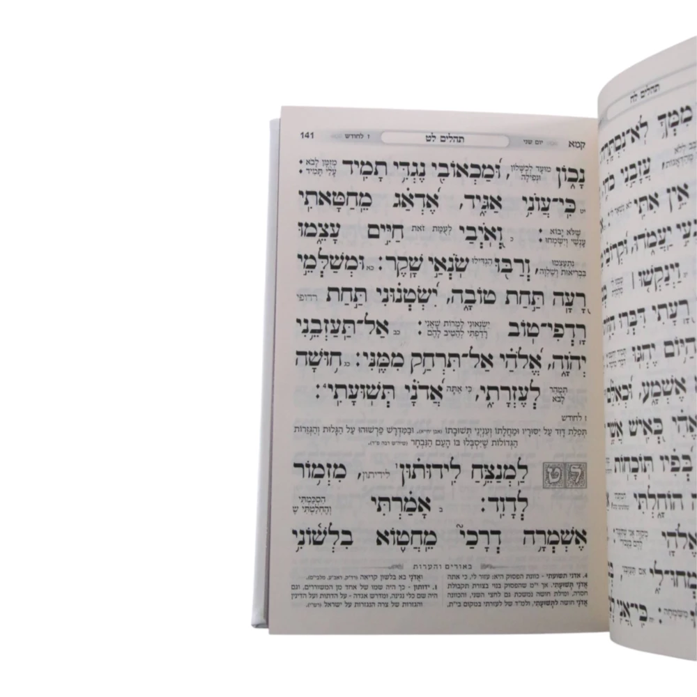 תהילים כוונת הלב דמוי עור בעיצוב קוביות – תמונה 5