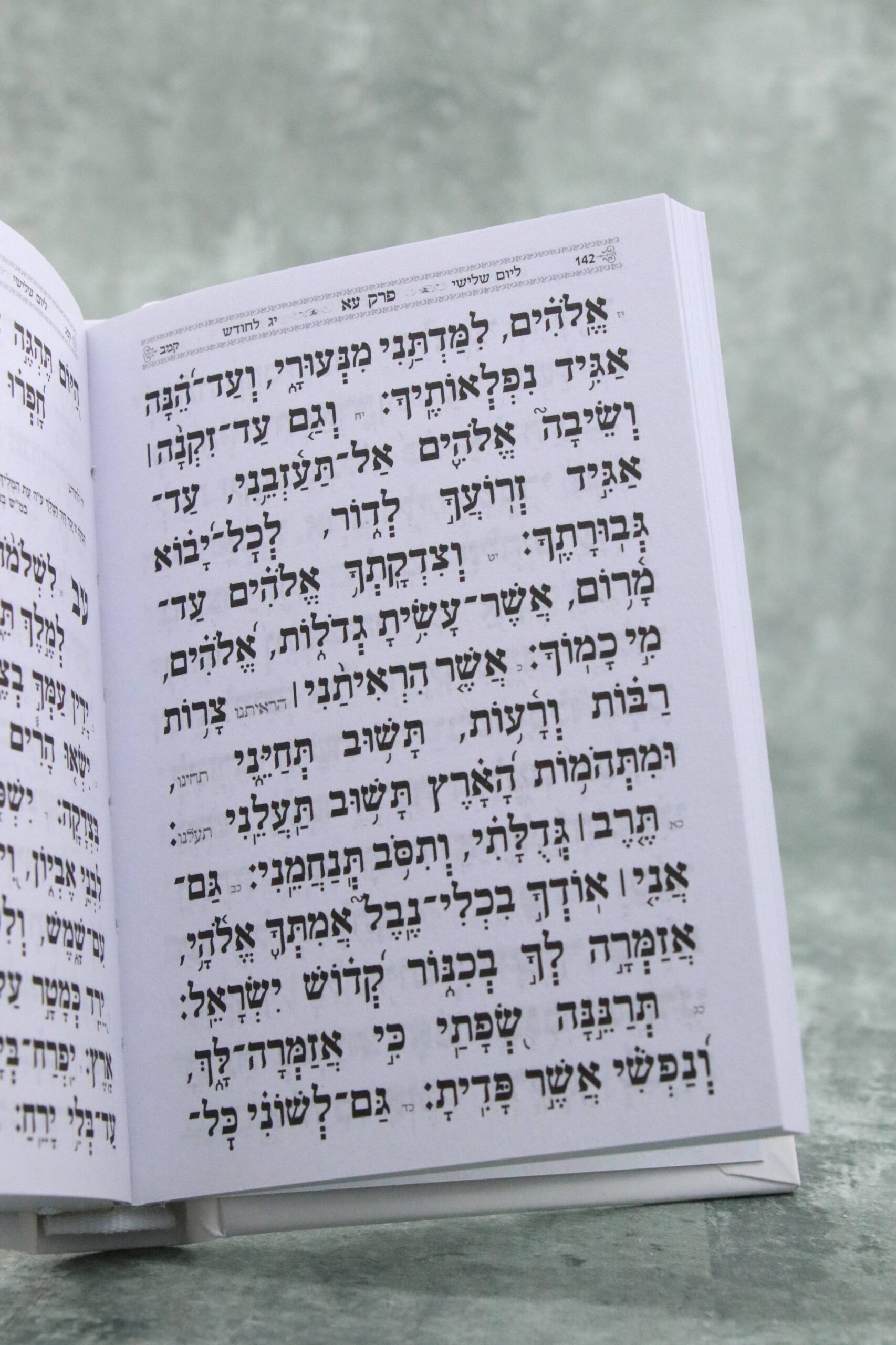 ספר תהילים כיס בעיצוב שעריו בתודה – תמונה 3
