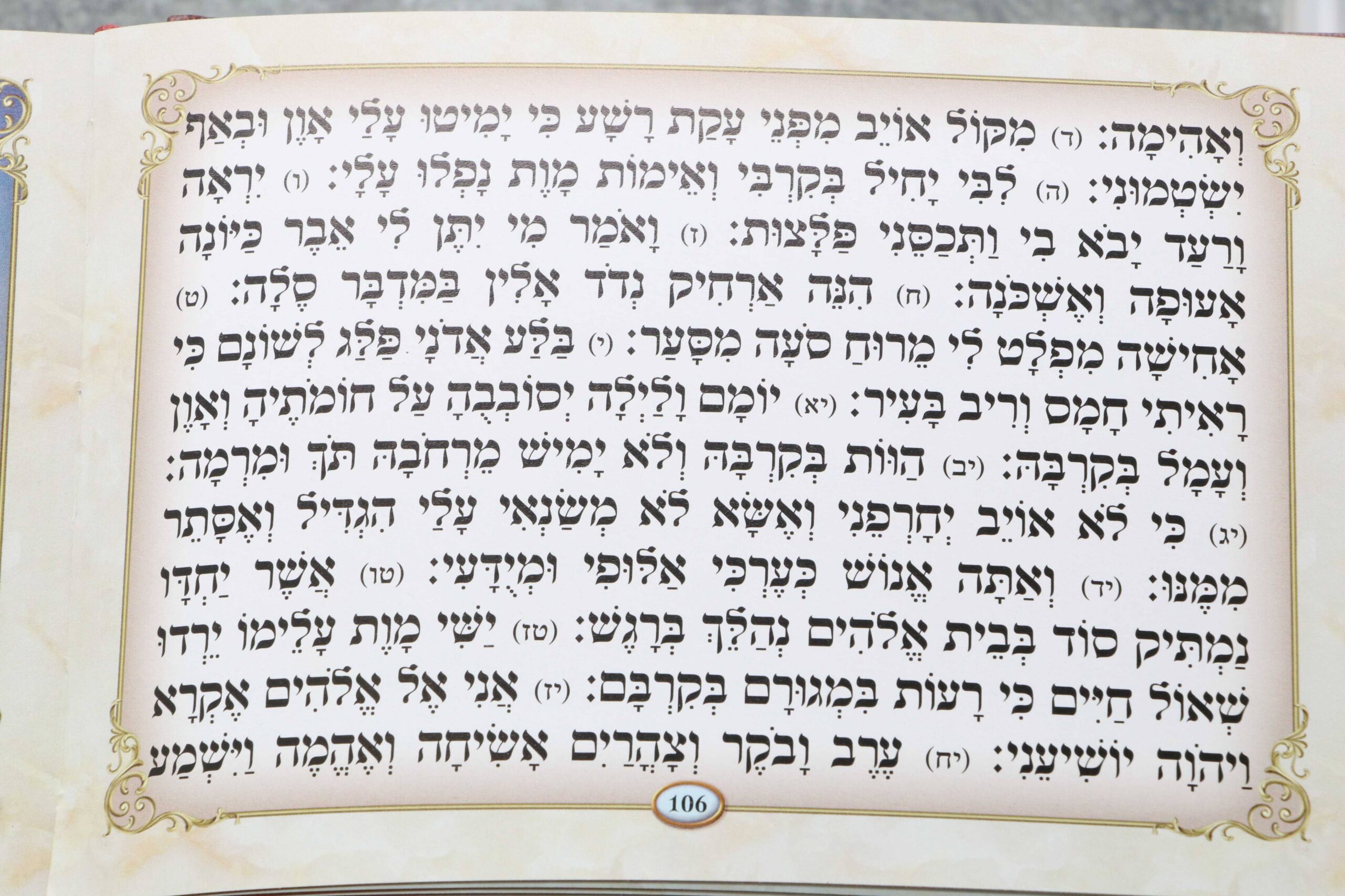 ספר תהילים דגם ספרא – תמונה 2