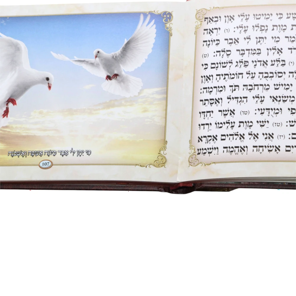 ספר תהילים דגם ספרא – תמונה 3