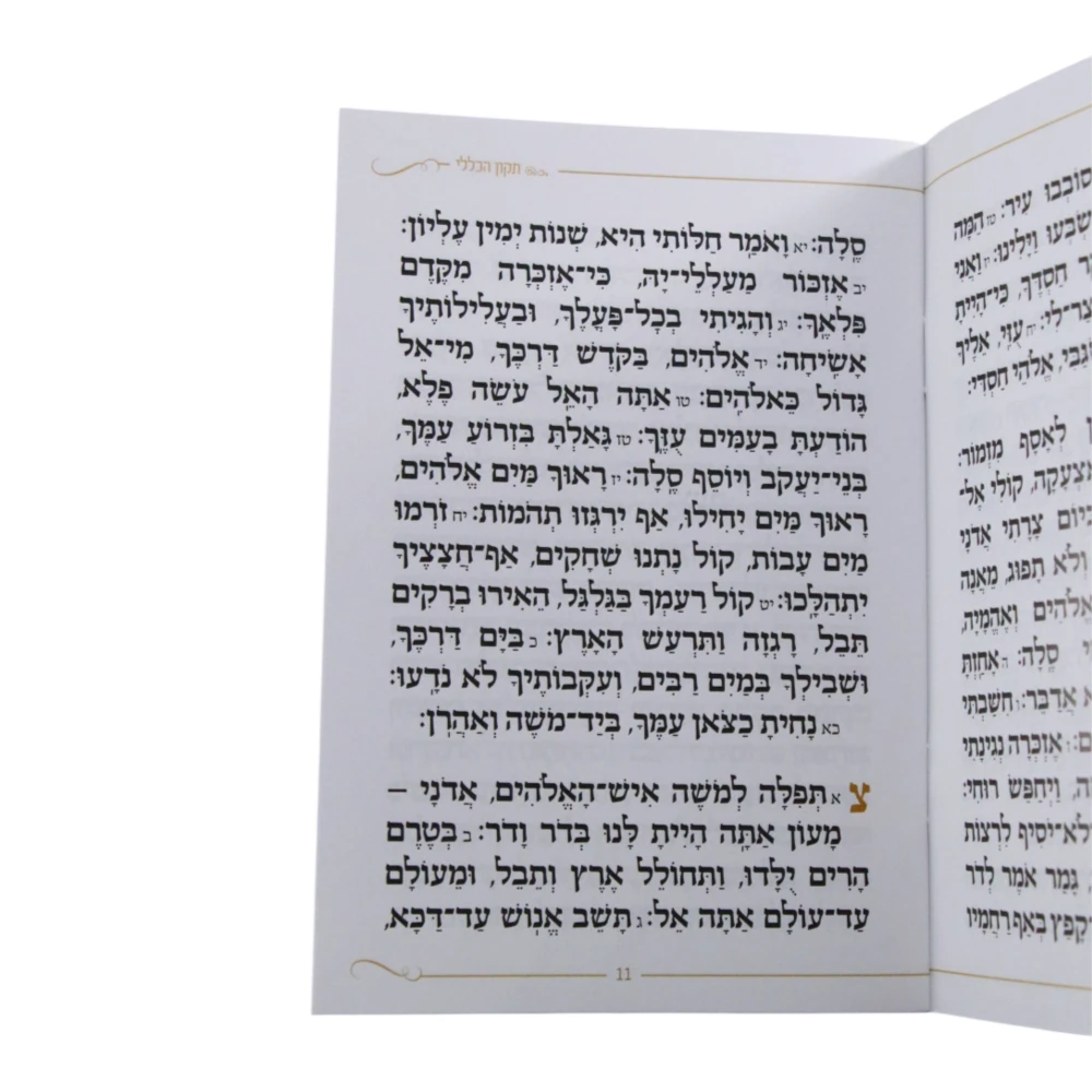 תיקון הכללי דגם מפל – תמונה 3