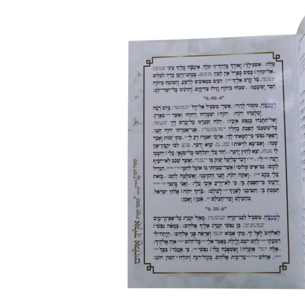תיקון הכללי דגם כינור – תמונה 2