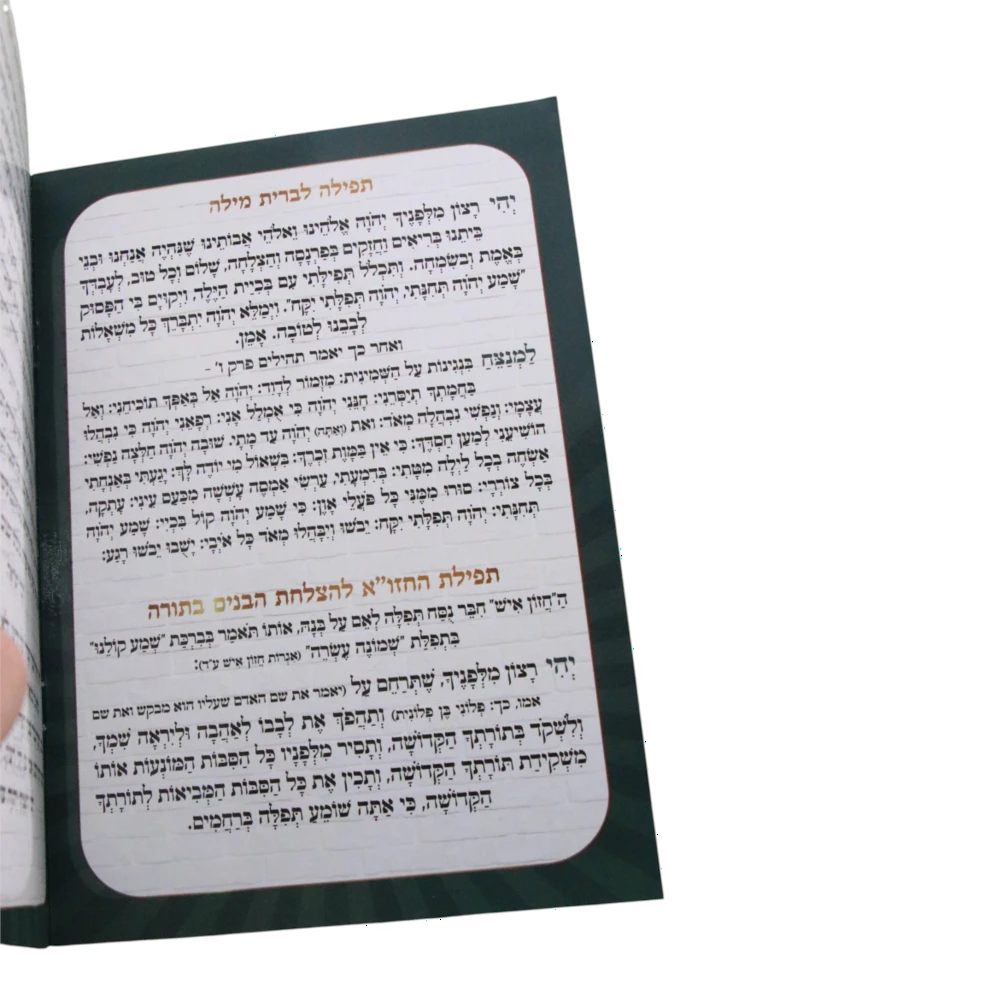 וזכני לגדל – תמונה 3